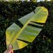 Torn hardy banana leaf backlit against a dark hedge